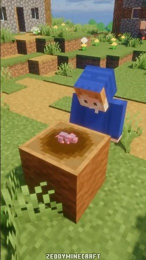 Rats and Cats Minecraft Mod #minecraft #minecraftmods