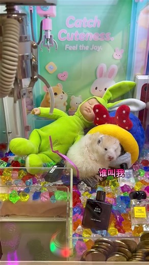 This Claw Machine Is Totally Insane Part 35 #clawmachine #arcade | Claw Frenzy
