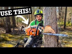 DROP A TREE WHERE YOU WANT IT