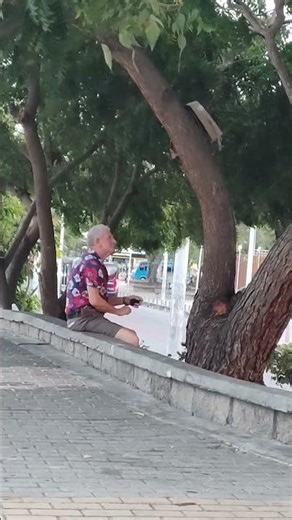 cuidado con la araña