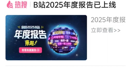 【哔哩哔哩】我的B站2025年度报告（自留纪念）
