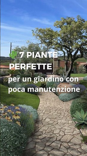 🌵 7 perfect plants for a low-maintenance garden🌿