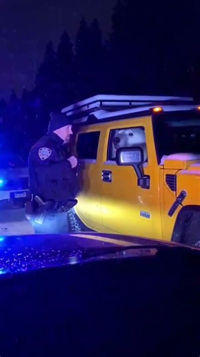 Polar bear gets pulled over...