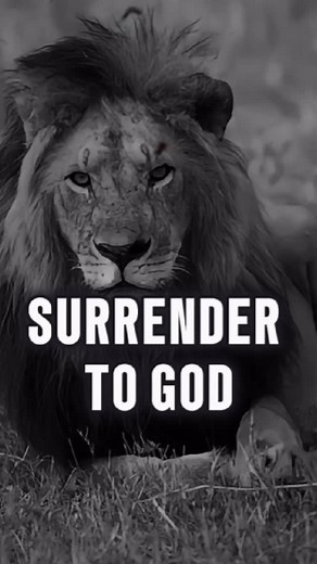 9K views · 23K reactions | Check out my new books    The God Who Stays → https://www.amazon.com/dp/B0FP1MW5ZR  Never Alone → https://www.amazon.com/dp/B0FNW4VX5L Get your copy… .. link in bio Surrender to God… #motivational #motivationalquotes #motivationoftheday #quotes #foryou #fyp #uk #motivationalvideo #successmindset | Zotivation | Facebook