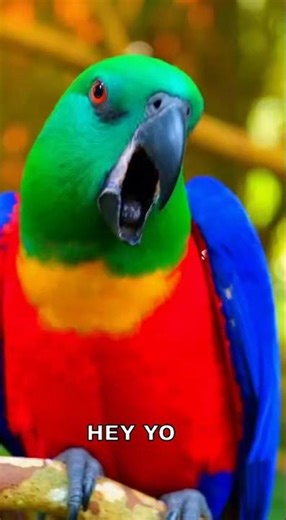 Connection Interrupted 🔌❌ #cod #mw2 #lag #relatable