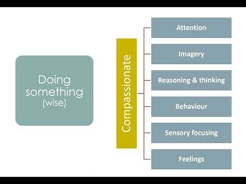 Compassion Focused Therapy - The basics of compassion