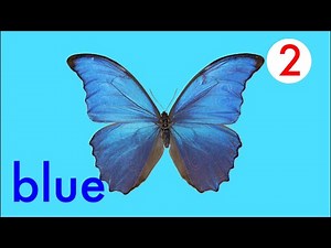 Butterfly Colors Song 2 remake