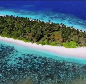 6.8K views · 157 reactions | Amazing footage of Trans Maldivian Airways seaplane twin otter flying over the Maldives.  #AviatorsMaldives Video: karlsontourism www.aviatorsmaldives.com | Aviators Maldives | Facebook