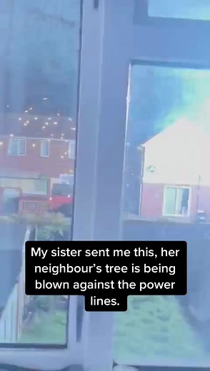 Trimming Trees Near Power Lines: Safety Precautions