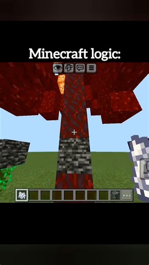 let's see this is really work in Minecraft Minecraft hacks zprgameing #trending #minecraft