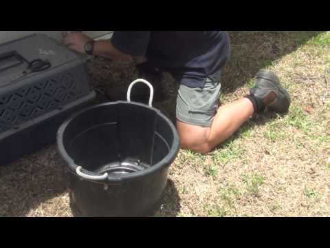 How to humanely slaughter a quail with kitchen shears DIY