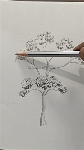 learn & practice pencil tree sketch #drawing #pencilsketch #pencilart #easydrawing