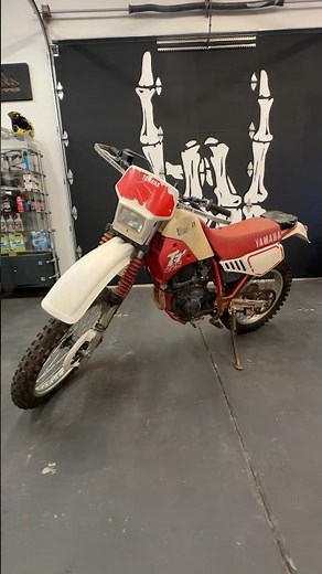 1987 Yamaha TTR-225