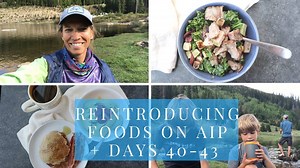 Reintroducing foods on the Autoimmune Paleo Protocol (AIP diet) can...