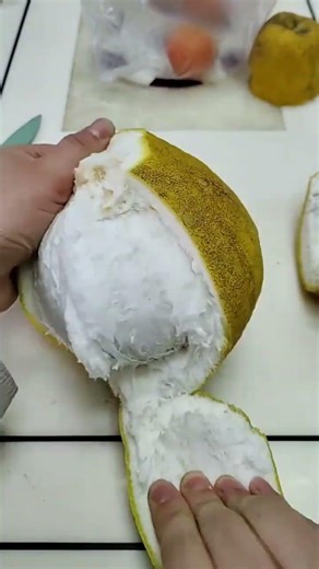 Fa 1931065446 mini rotary tillage and ridging all-in one tree short view #travel#beach#flowers