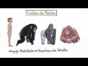 EVOLUTION DES MENSCHEN | Biologie | Evolutionsbiologie