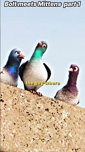Bolt Meets Mittens for first time 🥶🐕️🐈️ #Bolt #Mittens #MittensBolt