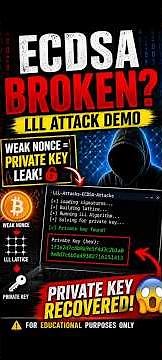 LLL Attack on ECDSA Explained | Recover Private Key from Weak Signatures 🔥 | CRYPTOGRAPHYTUBE