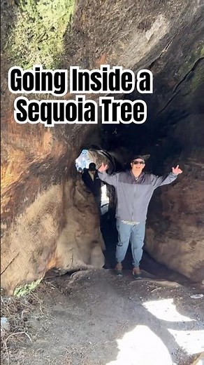 Kings Canyon National Park - Going Inside a Sequoia Tree