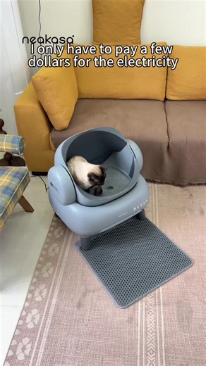 Revolutionize Your Cat Care with Automatic Litter Boxes