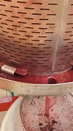 The waiting is over! 🎉 After 15 days of careful fermentation and maceration, our Cabernet is finally being pressed! Look at that beautiful, deep color flowing out. This is the moment we separate the wine from the skins, making it ready to move to the barrel for the next stage of its life. The hard work pays off with every drop. Cheers to the next step! 🍷 | Jecki Hakak