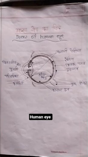 human eye drawing//drawing// draw of human eye
