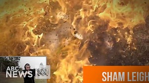 122K views · 656 reactions | Police have been asked to investigate...