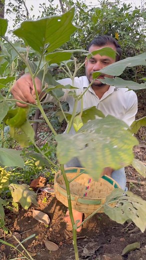 1.2M views · 12K reactions | Fry Bharta Bati recipe Village style #bhartabati #recipes #villagelife #villagecooking #bharta #indianfoodie #desifoodie #desikhana | Engineers_kitchen | Facebook