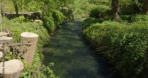 Shot of the weir at the lake pond and limestone gorge with vegetation