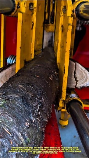 Wood Debarking Machine – Satisfying Log Processing!.