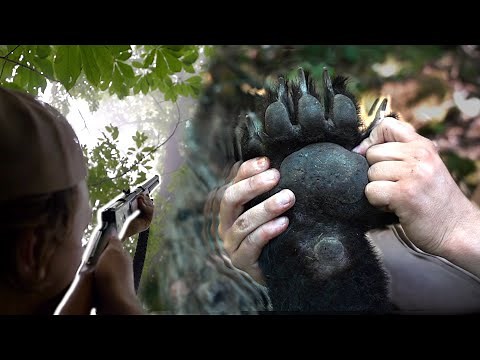 HIS FIRST BEAR EVER! - Bear Hunting with Hounds in West Virginia