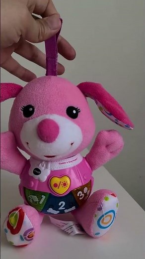 VTech Baby Cuddle and Sing Puppy (Link In Description)