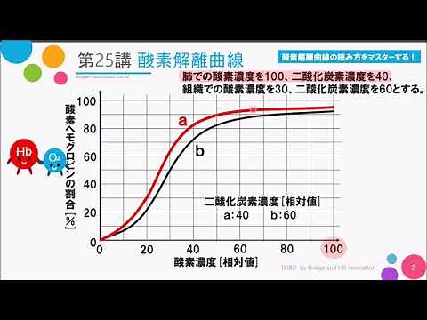 [High School Course: Basic Biology] Lecture 25: "Oxygen Dissociation Curve"