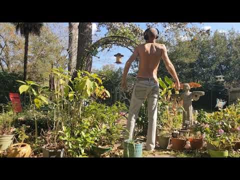 The Unwinding | 11.14.25 | Spontaneous Somatic Healing | Kundalini | Qi Gong | CTE | Neuroplasticity