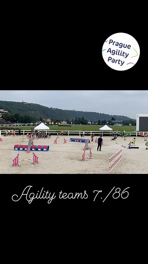 Agility teams medium, clean run for Nighty, 7th/86 ❤️‍🔥 @prague_agility_party | Eliška Kaletová