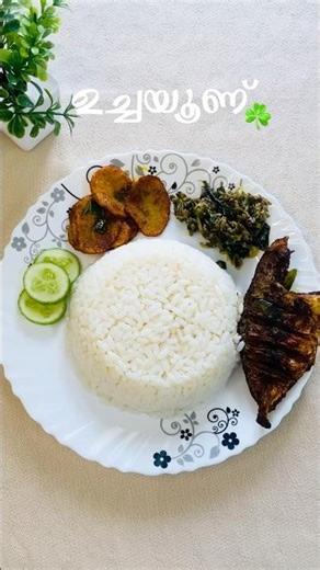 ഊണു കഴിച്ചാലോ 😋 #lunchrecipe #lunchbox #healthy #shorts