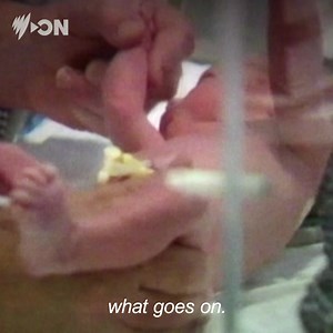 14 reactions · 7 comments | From destroyed files to doctors using their own sperm, we take a look at the secretive fertility industry. Inconceivable | Stream free now | SBS On Demand | Facebook