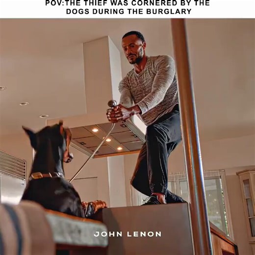 the thief was cornered by the dogs during the burglary