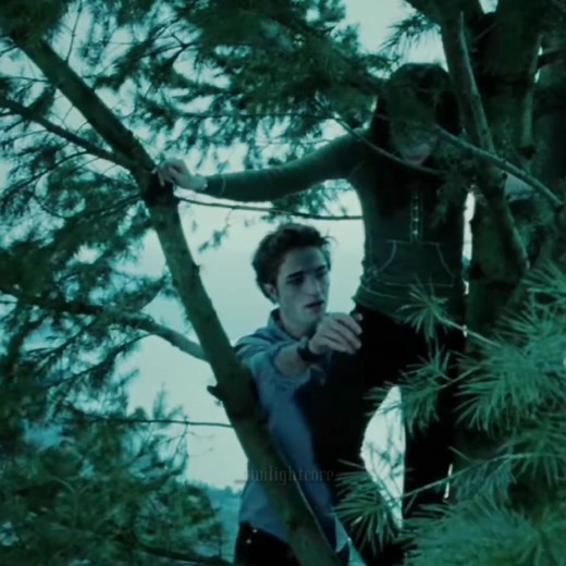 hold on tight spider monkey 🌲 #twilight #edit #bellaswan #edwardcullen #twilightcore #twilightedit