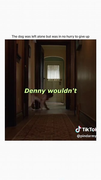 Understanding Dog Loyalty in Movies