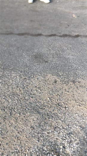 Dream Weavers SD on TikTok