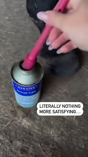 Keratex Hoofcare on Instagram: "@ahorsecalledyogi applying our Hoof Gel 😍 “Keratex have been supporting Alice’s barefoot journey since I bought her in January this year. We have been using the #hoofhardener, nail hole damage repair, and the hoof putty so far but really impressed with our new purchase #HoofGel so far, it offers instant shine but then penetrates deep into the wall and sole. Alice can suffer with abscesses in her hind feet so we’re really being hot on hoofcare.” #nohoofnohorse #ke