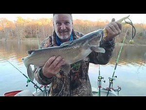 Blue Springs Lake Fun Fishing #fishingvideo