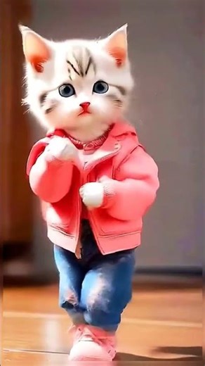 #cat #dance #funny#cute #viral#shorts#trending #yt #ytshorts 😂😂😍😍