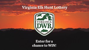 Calling all hunters! Don't miss your shot at winning a bull elk hunt in Virginia's Elk Management Zone! Enter now before March 30th. dwr.virginia.gov/wildlife/elk/hunting/elk-lottery/. #vawildlife #elkhunt #Virginia | Virginia Department of Wildlife Resources