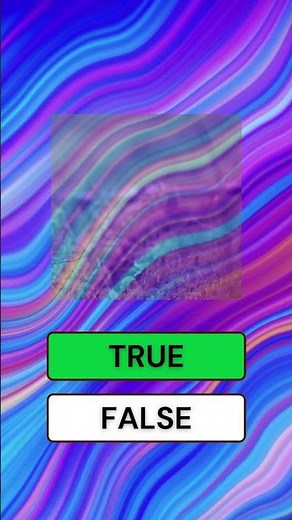 True Or False Quiz Questions with Answers | General Knowledge Trivia Questions Quiz