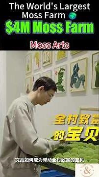 He Turned Moss Into a $4M Business 🌱 (Unbelievable)