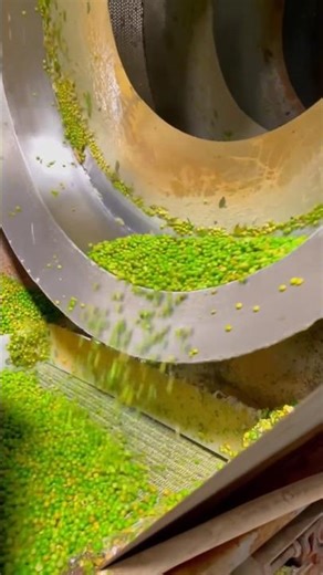 #guess #youtubeshort #youtubeindia