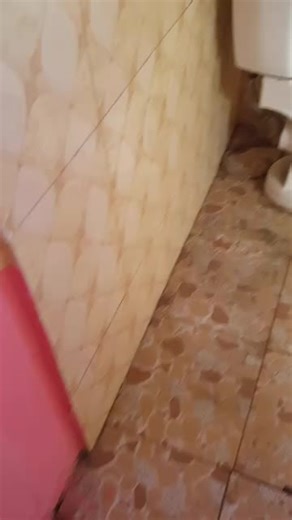 Single room self contained for rent at nungua bank road(old st Francis),600ghc per month for 2 years, call larry properties on 0264351865/0546998792 for more details