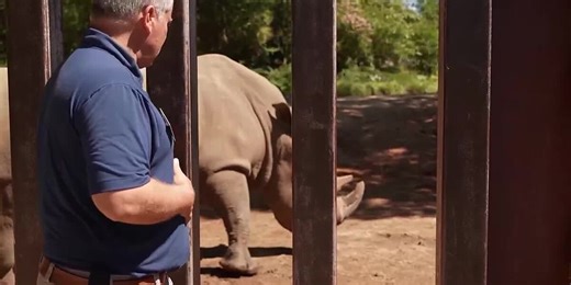 How you can Explore More at Riverbanks Zoo